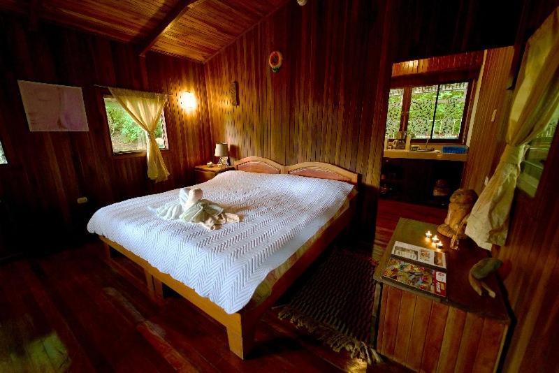 Lodge Mirador - Great Swimming Pool - Kitchen - Bbq - Netflix Tajo Alto Eksteriør bilde