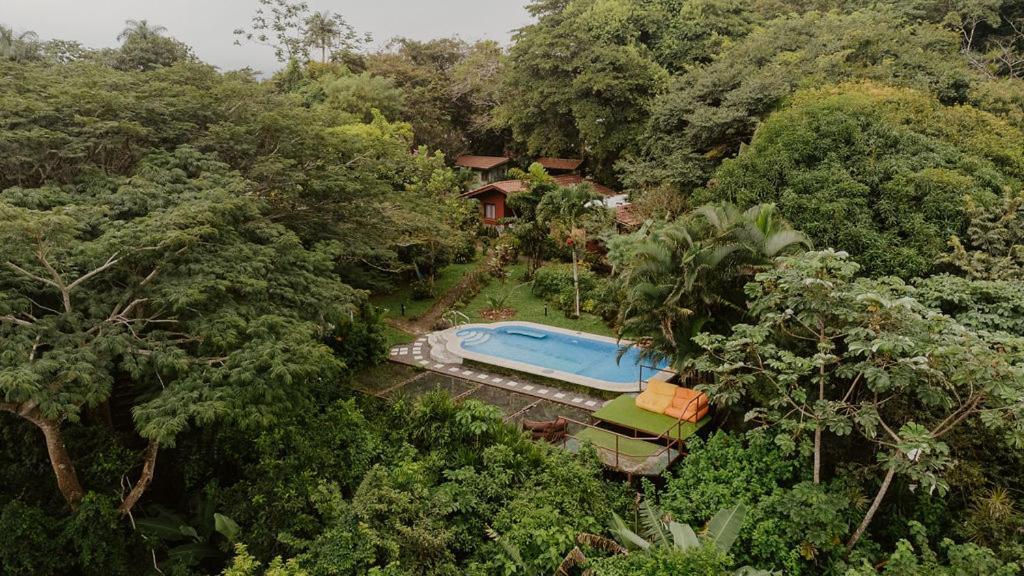 Lodge Mirador - Great Swimming Pool - Kitchen - Bbq - Netflix Tajo Alto Eksteriør bilde