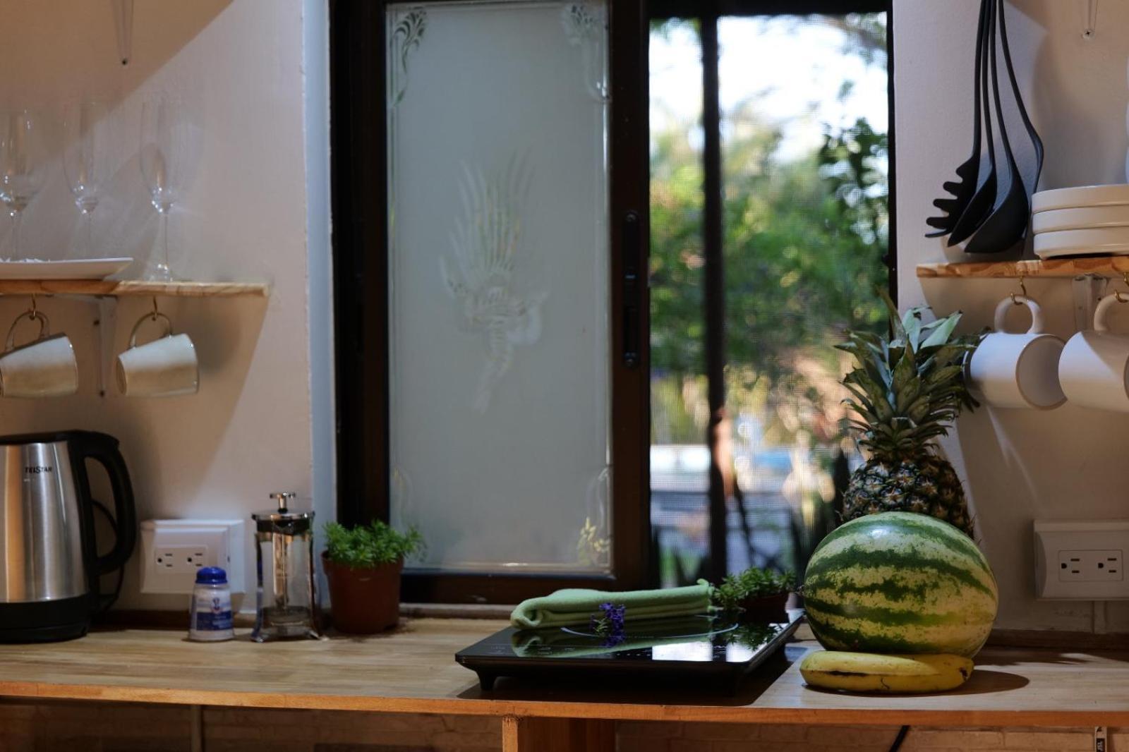 Lodge Mirador - Great Swimming Pool - Kitchen - Bbq - Netflix Tajo Alto Eksteriør bilde