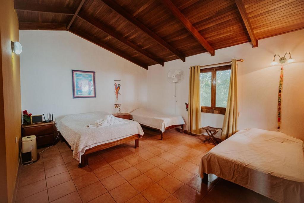 Lodge Mirador - Great Swimming Pool - Kitchen - Bbq - Netflix Tajo Alto Eksteriør bilde
