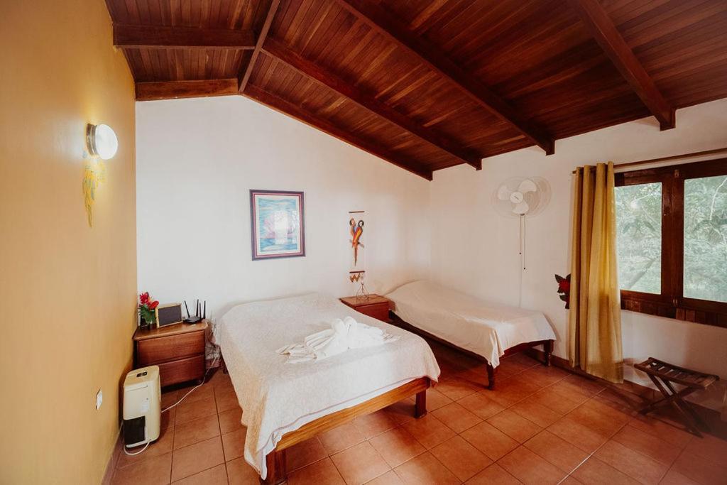 Lodge Mirador - Great Swimming Pool - Kitchen - Bbq - Netflix Tajo Alto Eksteriør bilde